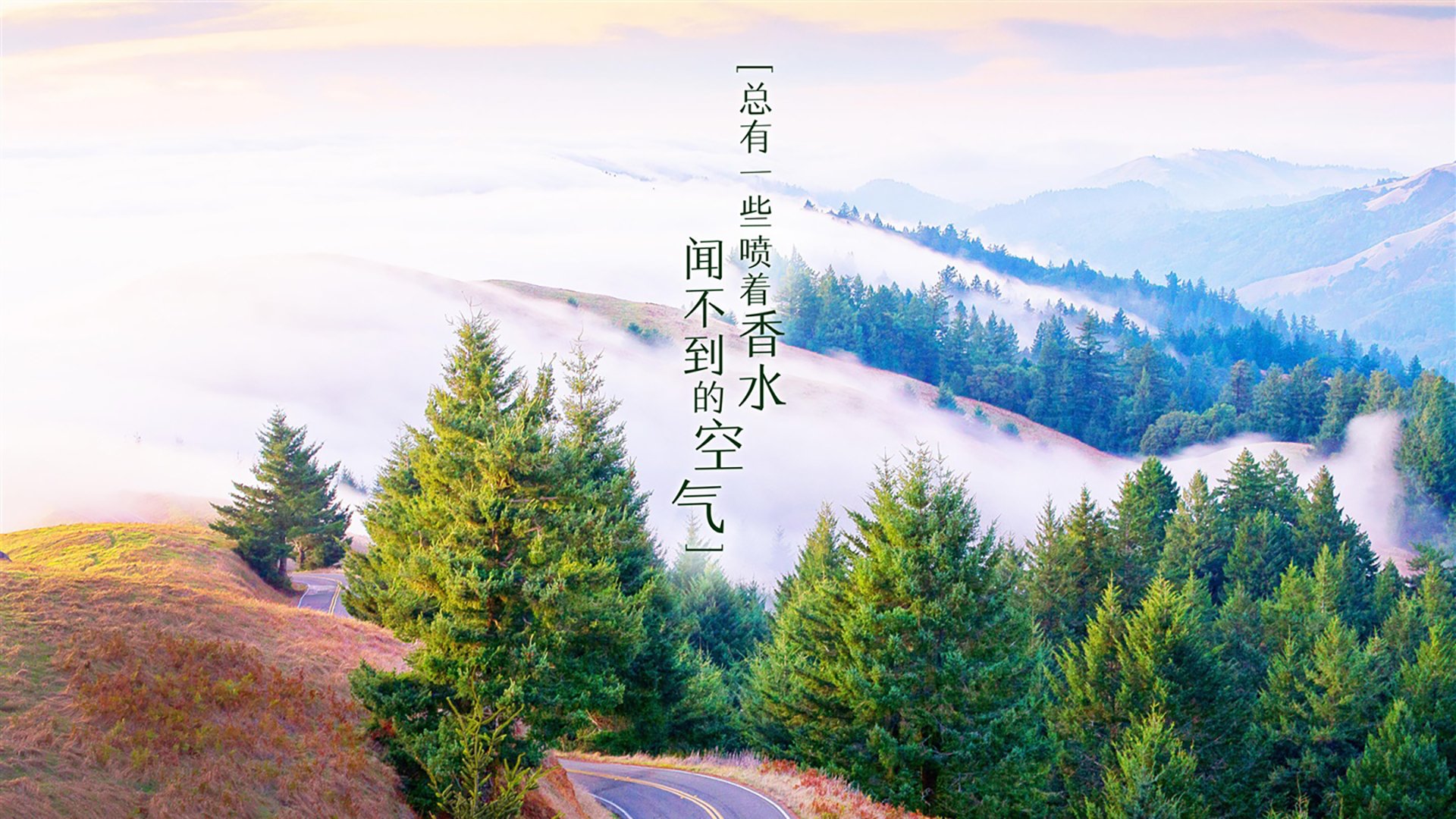 关键球员心理素质影响比赛走势，nba心理素质