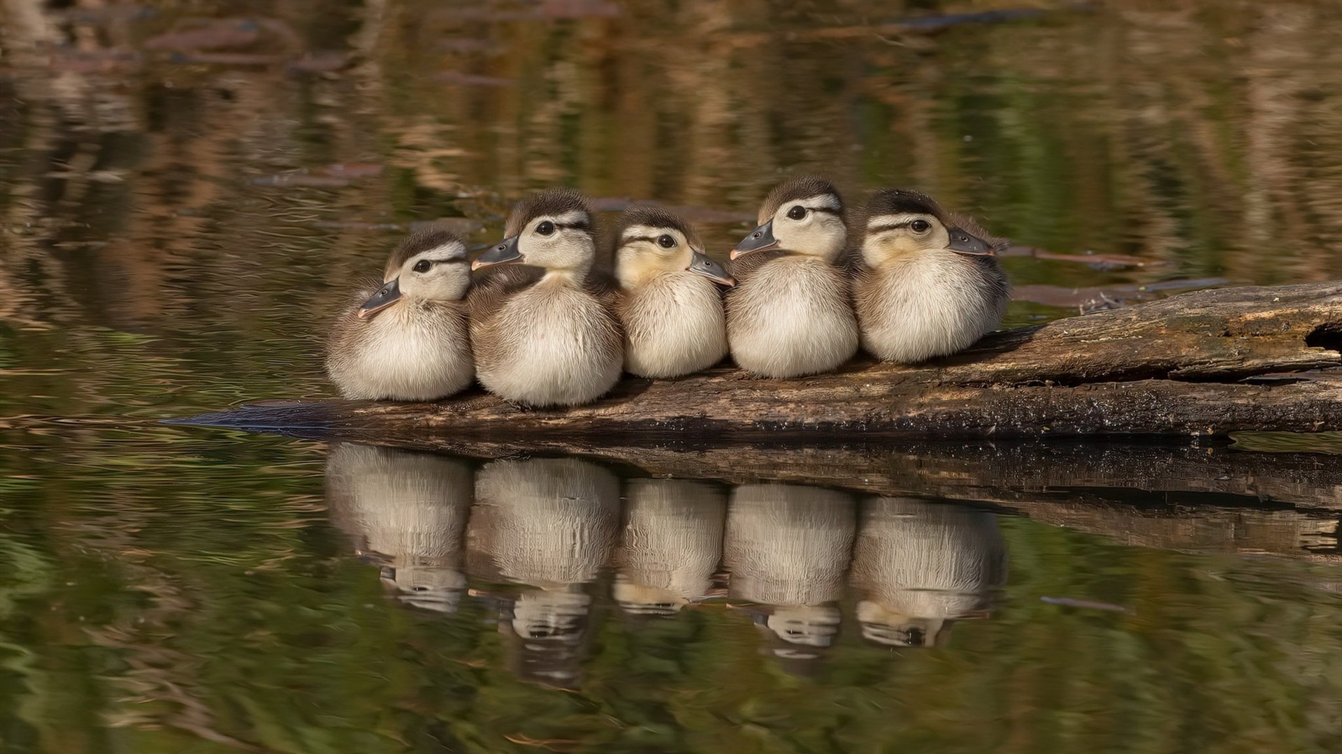 体育产业数字营销创新策略,我国体育产业数字化转型研究