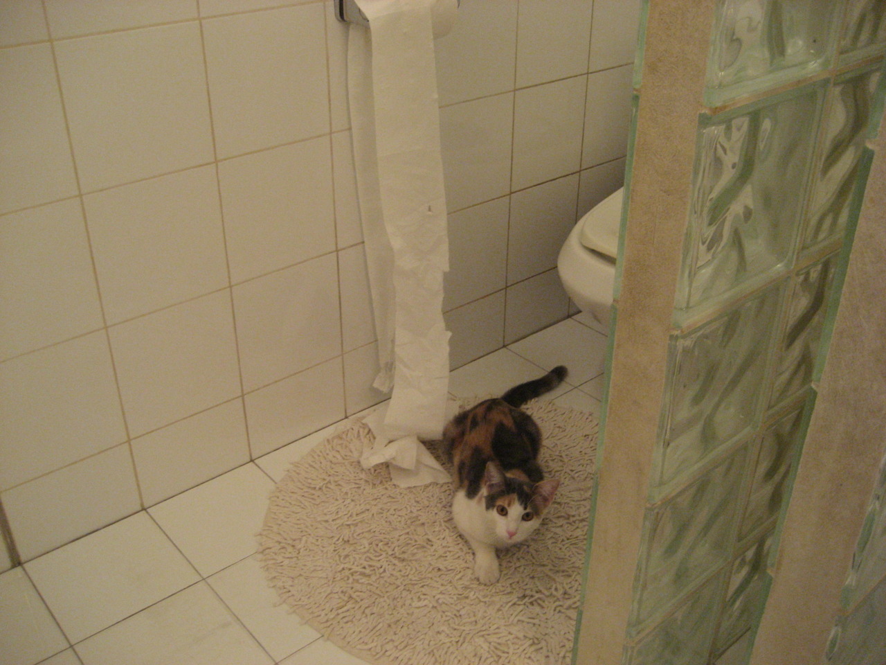 凯恩·瑞安：在场上不断完善自我，逐渐成为全黑队的不可或缺球员