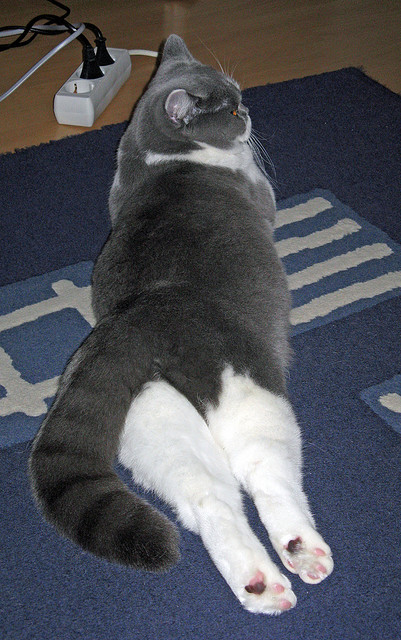 场上多次组织高质量配合前场冲击力明显加强创造多次破门良机