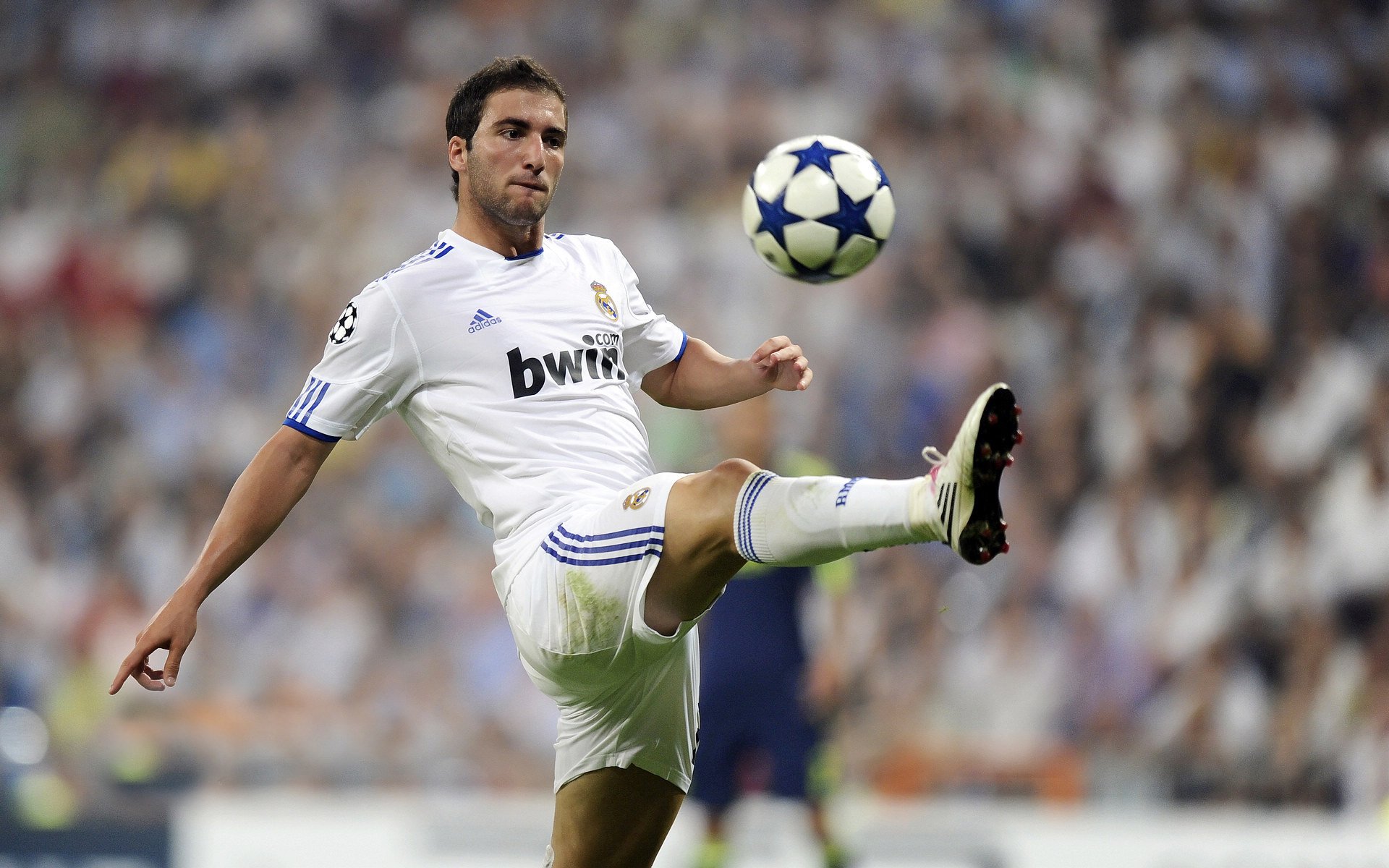 AYX SPORTS-球迷自发组织为球队送行展现深厚情感，自发组织的足球赛